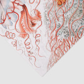 アーンスト·ヘッケル『Discomedusae』クラゲ 薄葉紙 (詳細)