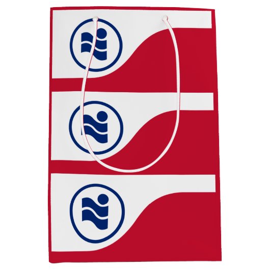 アーヴィング国旗、テキサス州 ミディアムペーパーバッグ (正面)