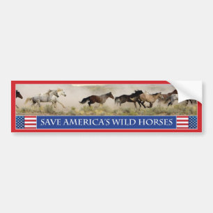 ア救メリカの野生馬のバンパーシール1 バンパーステッカー