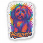 ア鮮やかポップ・アートのートHavanese Dog -カラフル通りアート シール (正面)