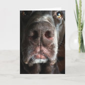 ア・イ・プロイ・チョコレート・ラボ・スナウト・ベレート・誕生日 カード (正面)