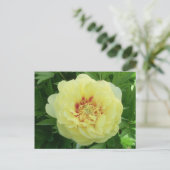イかわいらしエローバーツェラピオニーフラワー開花PC シーズンポストカード (スタンド正面)