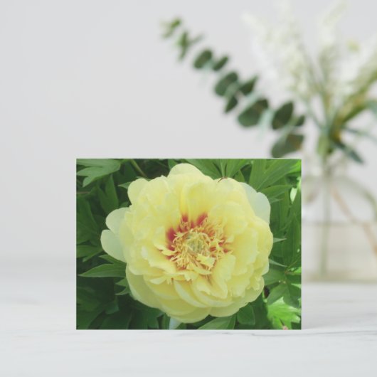 イかわいらしエローバーツェラピオニーフラワー開花PC シーズンポストカード (スタンド正面)