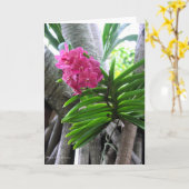 イアオバレー – マウイ,ハワイ カード (黄色い花)