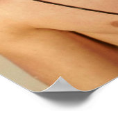 イアンソマーハルダーシルレス ポスター (角)