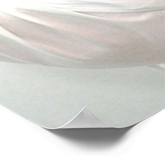 イアンソマーハルデアダモンサルバトーレ ポスター (角)