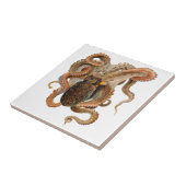 イイダコ（Octopus Vulgaris）、ビンテージの海洋生物の動物 タイル (側面)