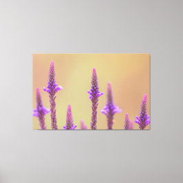 イインファツムトラーメン… キャンバスプリント