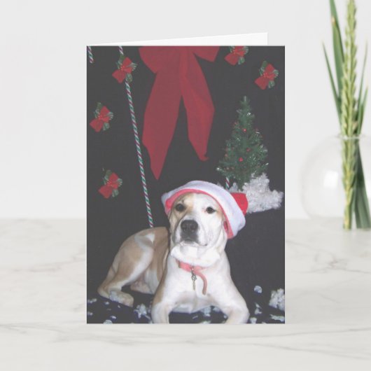 イェジー第2クリスマス シーズンカード (正面)