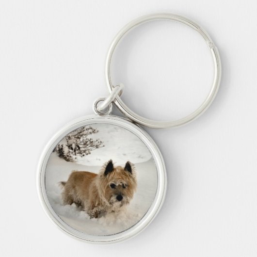 イェティ キーホルダー (正面)