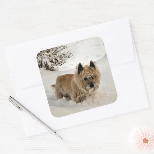 イェティ スクエアシール (封筒)