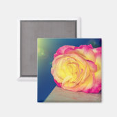 イエかわいらしローピンクローズイン開花 マグネット (正面/裏面)