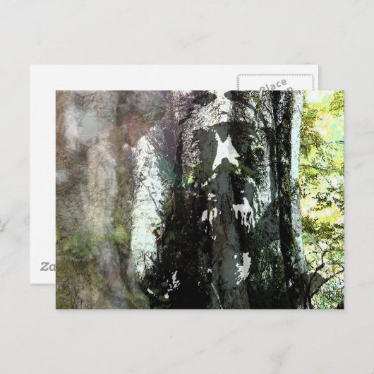 イエスと木 ポストカード (正面/裏面)