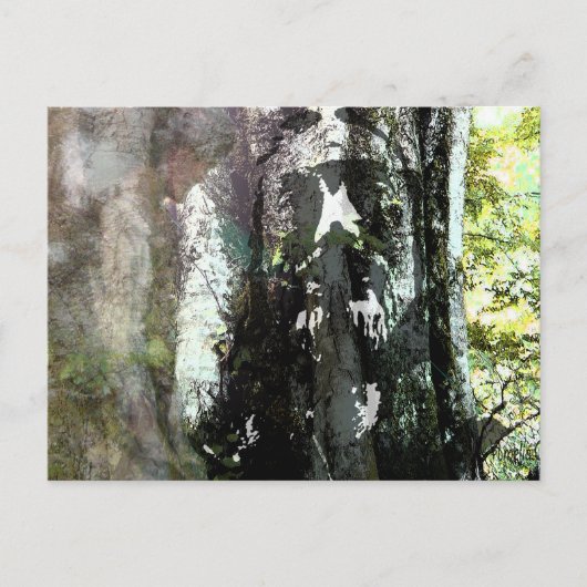 イエスと木 ポストカード (正面)