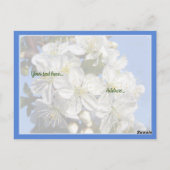 イエスに言え! ポストカード (裏面)