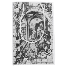 イエスの誕生(Martin Schongauer著) ミディアムペーパーバッグ