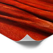 イエスは白と赤の衣 ポスター (角)