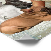 イエスはB?yブルドッグに囲まフランスのれた ポスター (角)