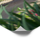 イエスキリストのイースター空の墓のポスター写真 ポスター (角)