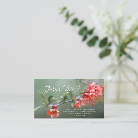 イエス様は春の花聖書の復活祭を生きる 名刺 (スタンド正面)