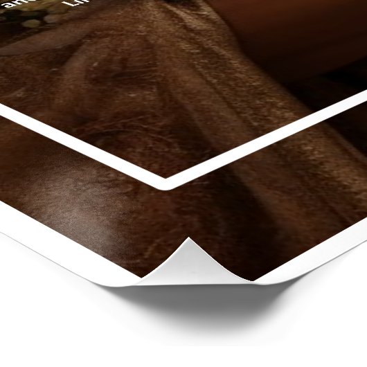 イエス結婚- ポスター (コーナー)