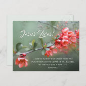 イエス·ライブス·春の花ス·バイブル·バース·イースター ポストカード (正面/裏面)