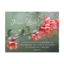 イエス·ライブス·春の花ス·バイブル·バース·イースター