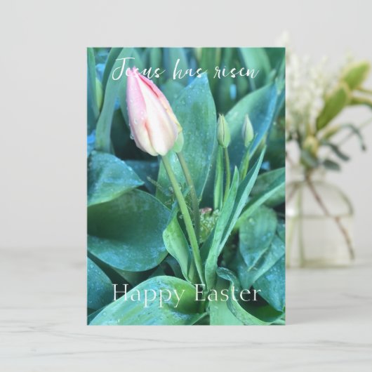 イエズスがハッピーイースターカスタムチューリップ写真 シーズンカード (スタンド正面)