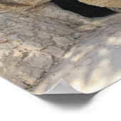 イエズス・オープン・トゥームイスラエル・キャンバス・プリント ポスター (角)