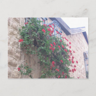 イエミンモシェ ポストカード