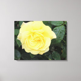 イエロバラ キャンバスプリント