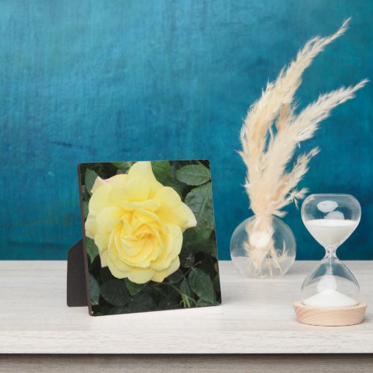 イエロバラ フォトプラーク (インサイチュ)