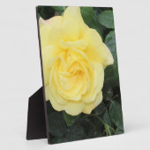 イエロバラ フォトプラーク (側面)