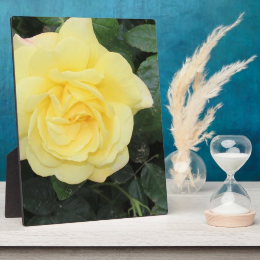 イエロバラ フォトプラーク (側面)
