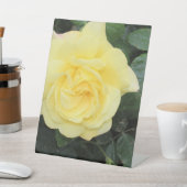 イエロバラ 台座サイン (インサイチュ)