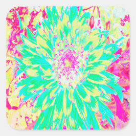 イエローとマゼンタの装飾用ダリア花 スクエアシール