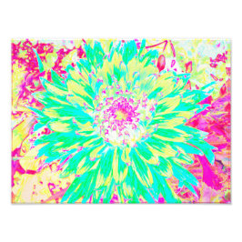 イエローとマゼンタの装飾用ダリア花 フォトプリント           