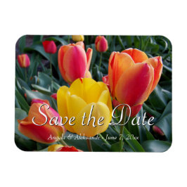イエローとレッドチューリップの庭園写真 Save the Date マグネット