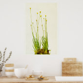 イエローアイドグラスのポスター ポスター (キッチン)