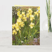 イエローアイリスとタビーキャットフラワーフローラカード カード (裏面)