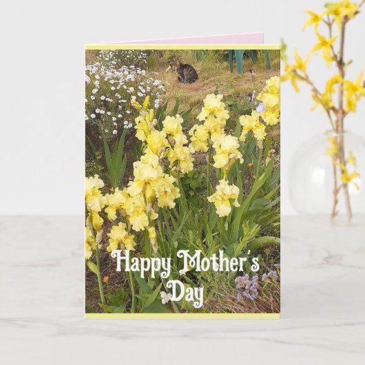 イエローアイリスとタブビーキャブフラワーマザーズDay Card カード (黄色い花)