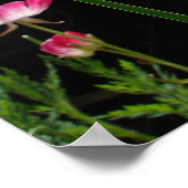 イエローアイリスアイリスフローラフラワーガーデンポスター ポスター (角)