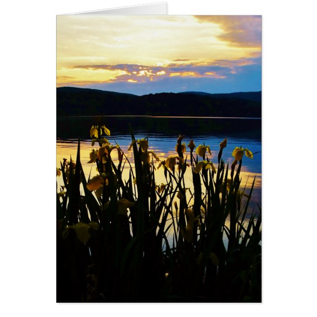 イエローアイリスアットレイクアローワードショア (正面)