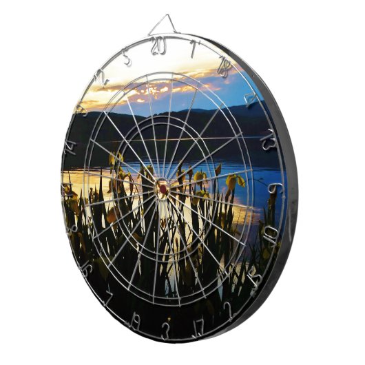 イエローアイリスアットレイクアローワードショア ダーツボード (正面右)