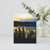 イエローアイリスアットレイクアローワードショア ポストカード (スタンド正面)