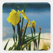 イエローアイリスアットレイクショア スクエアシール (正面)