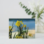 イエローアイリスアットレイクショア ポストカード (スタンド正面)