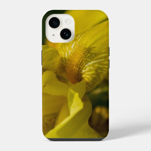 イエローアイリスヒゲiPhoneケース iPhoneケース (裏面)