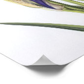 イエローアイリスフラワーアートプリントポスター ポスター (角)