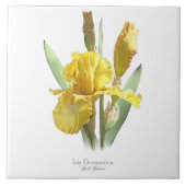 イエローアイリスフラワーボタニカルスタイルアート タイル (正面)